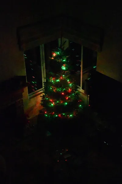 DSC_0323 (Large).JPG